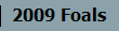 2009 Foals