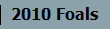 2010 Foals