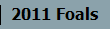 2011 Foals