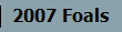 2007 Foals
